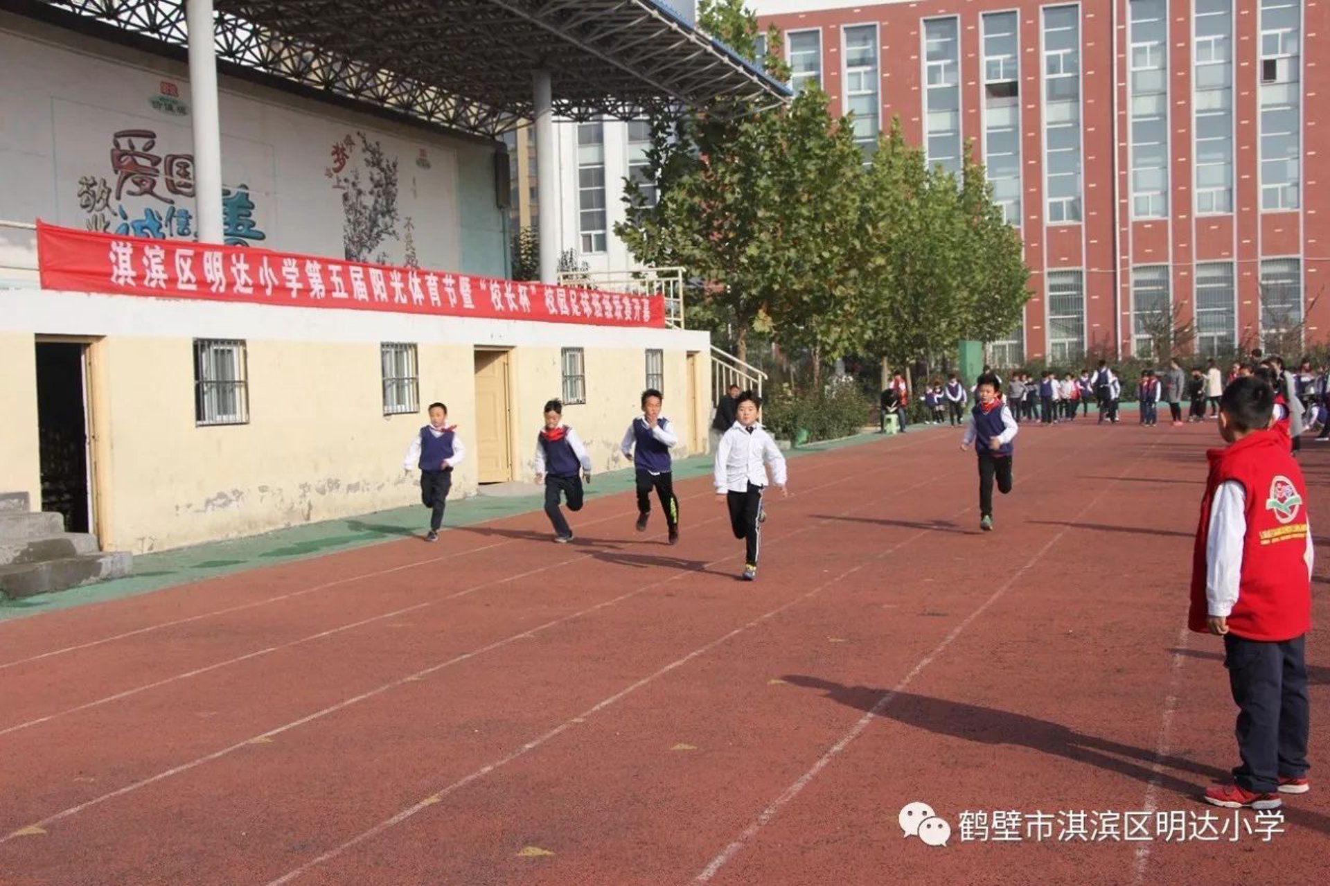 近年来，建筑保温材料的需求日益增长，其中岩棉夹芯板因其优异的隔热性能和环保特性受到了市场的青睐。岩棉夹芯板的价格受哪些因素影响？如何选择性价比高的产品？
